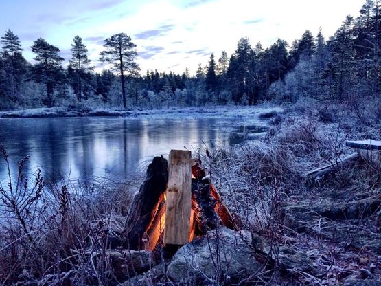 Upplevelser | Skandinaviska Jakt & Fiske