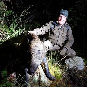 Vildsvin jakt | Skandinaviska Jakt & Fiske